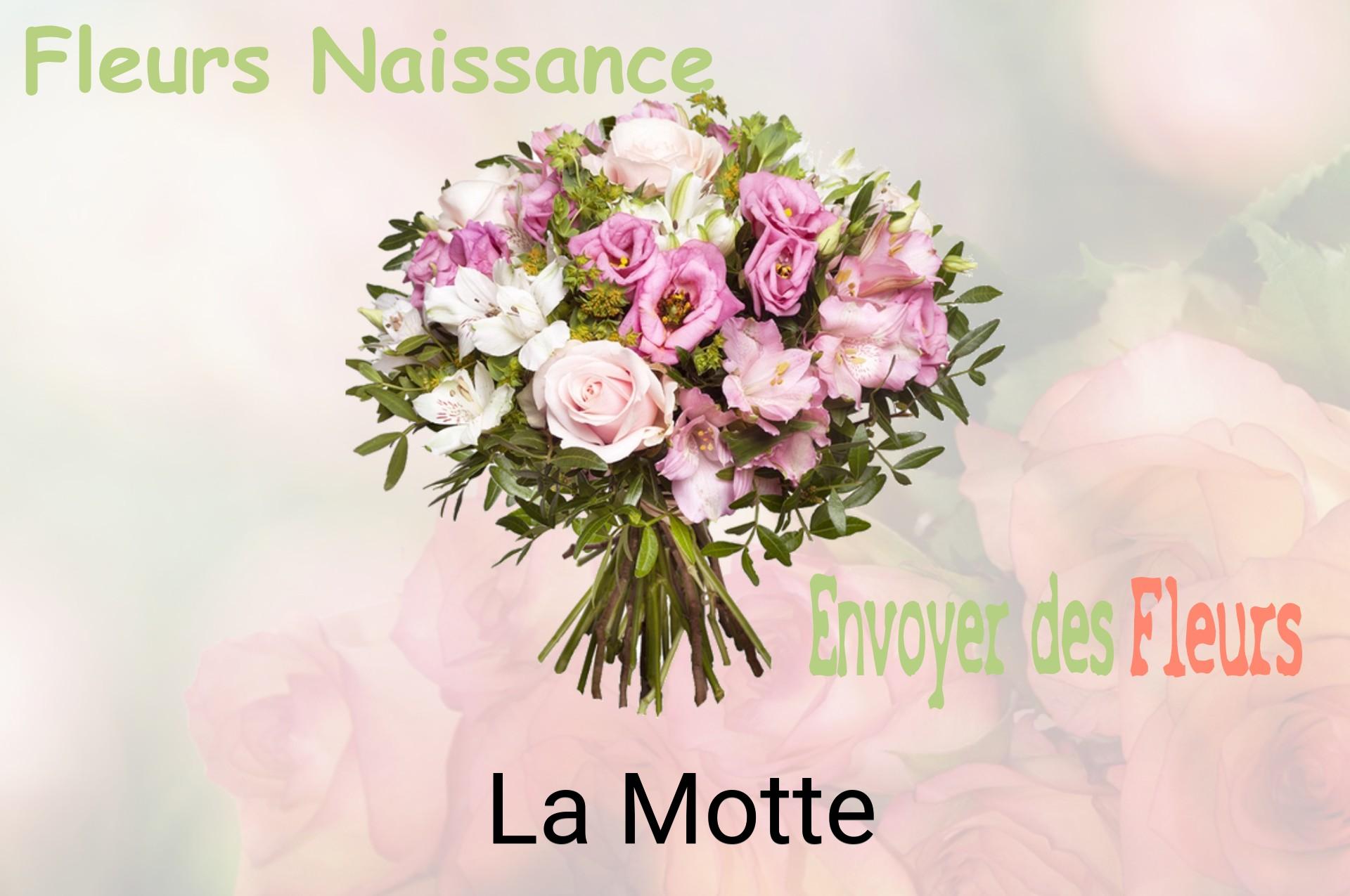Bouquet de fleurs de naissance livré à La Motte